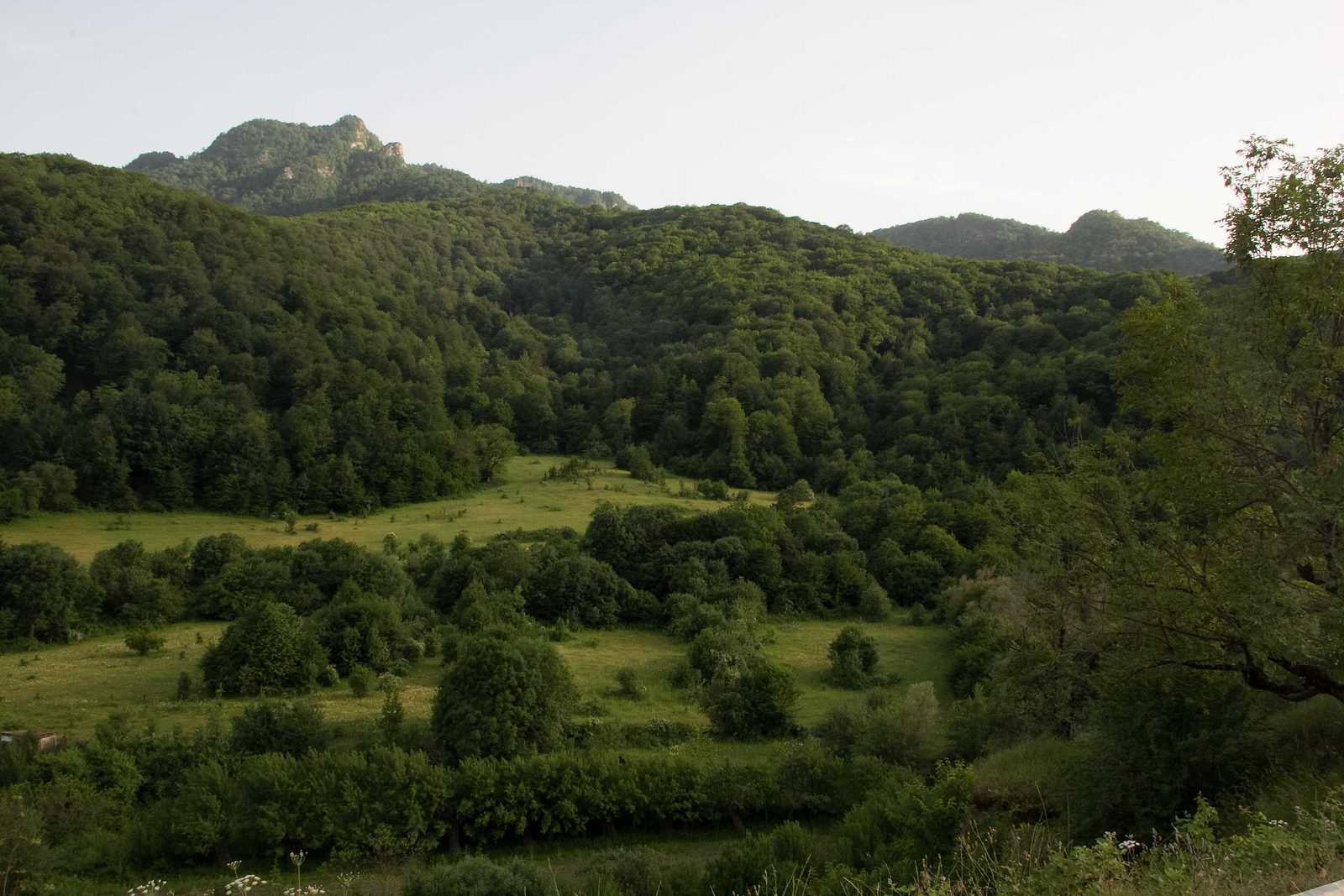 Зелёная долина и лесистые склоны под скалистой вершиной в Армении